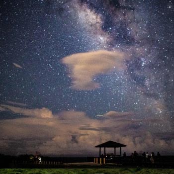 夜間導覽